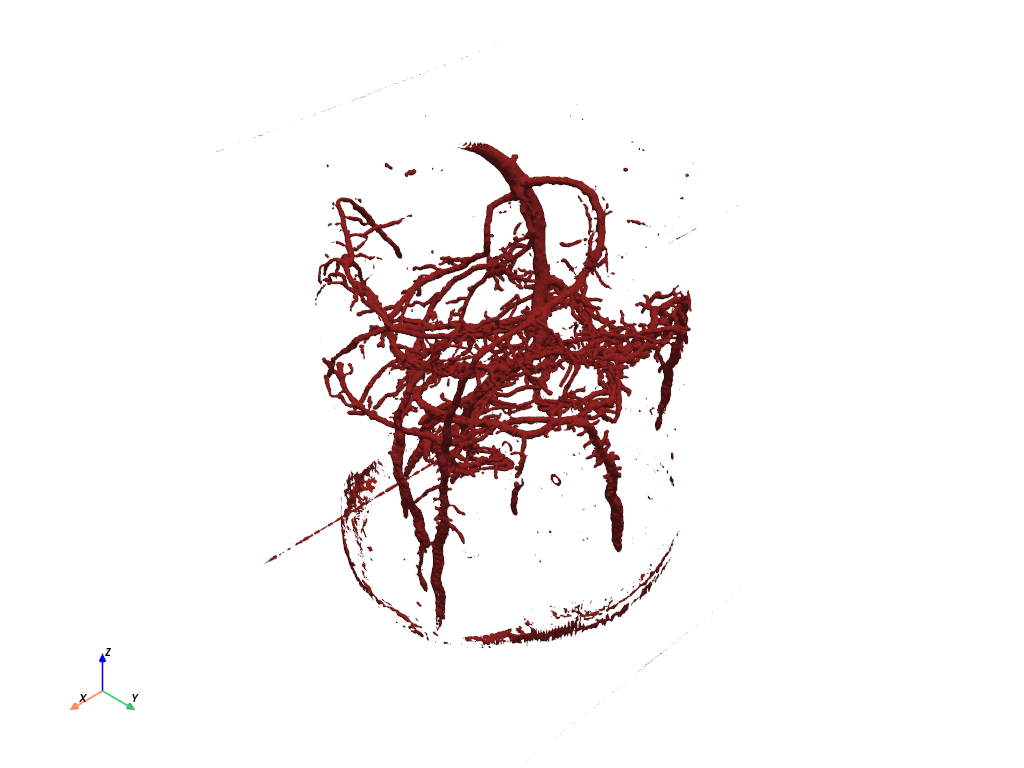 ../../../_images/pyvista-BinaryMarchingCubesReader-2187b1bbc4c45ed4_00_00.png