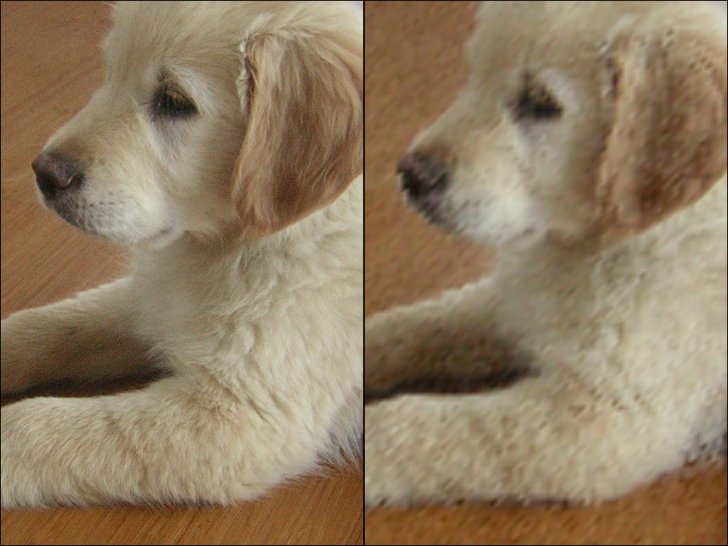 ../../../_images/pyvista-ImageDataFilters-resample-0d0eea1e5046d3c4_08_00.png