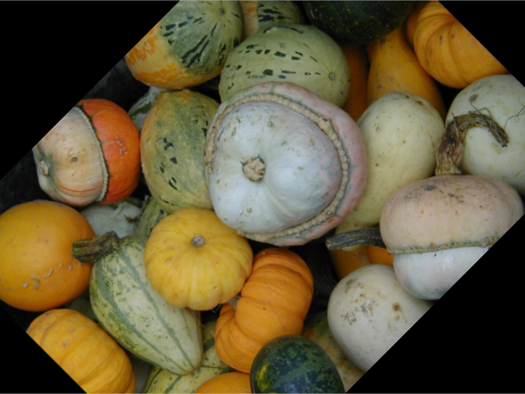 ../../../_images/pyvista-ImageDataFilters-reslice-c307f70763ea1c43_00_00.png