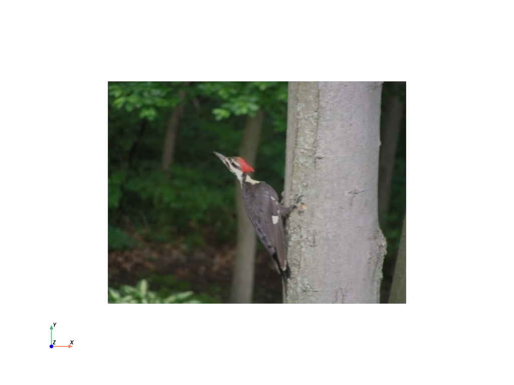 ../../_images/pyvista-examples-downloads-download_bird-b2ed3509dec8076d_00_00.png