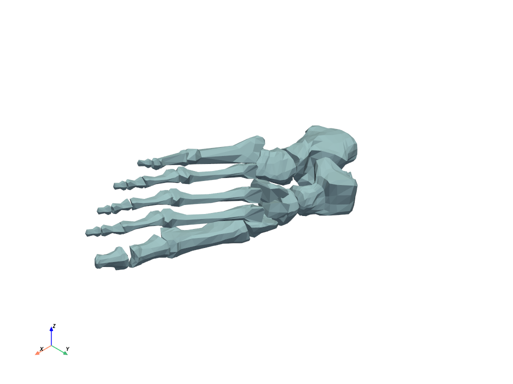 ../../_images/pyvista-examples-downloads-download_foot_bones-2d3cee47895ccf63_00_00.png