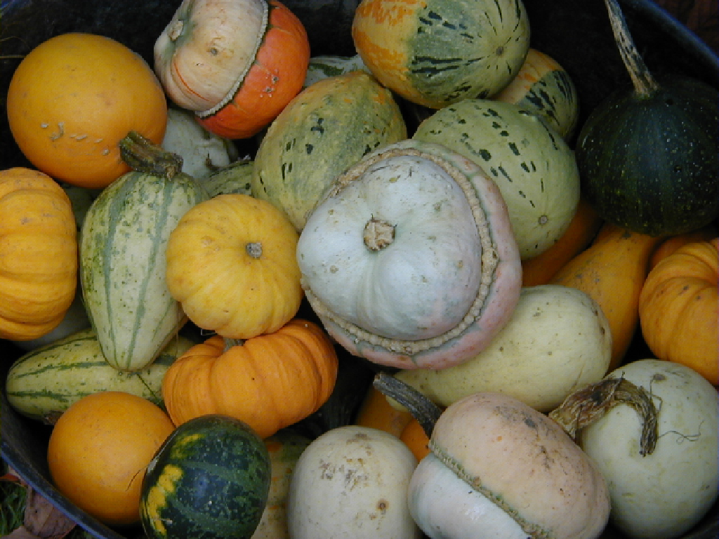 ../../_images/pyvista-examples-downloads-download_gourds_texture-e49d3a81700848bd_00_00.png