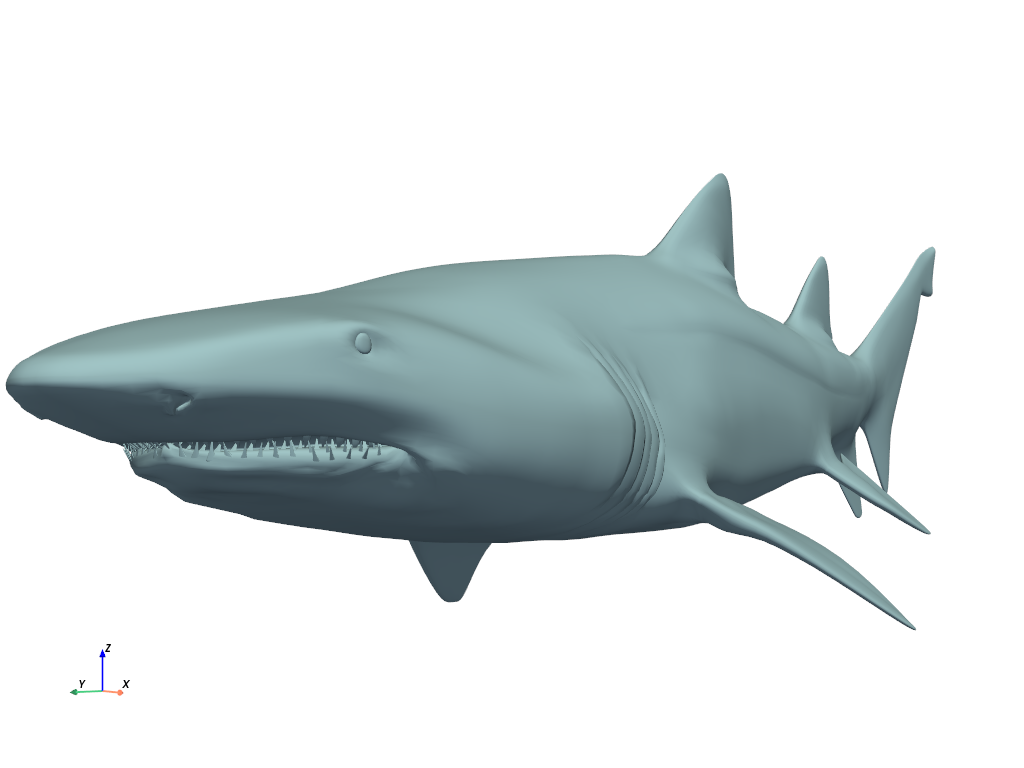 ../../_images/pyvista-examples-downloads-download_grey_nurse_shark-67e6ce26295ea288_00_00.png