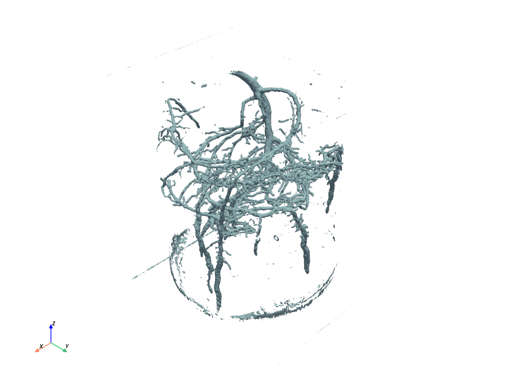 ../../_images/pyvista-examples-downloads-download_pine_roots-73dbf70daf54eb71_00_00.png