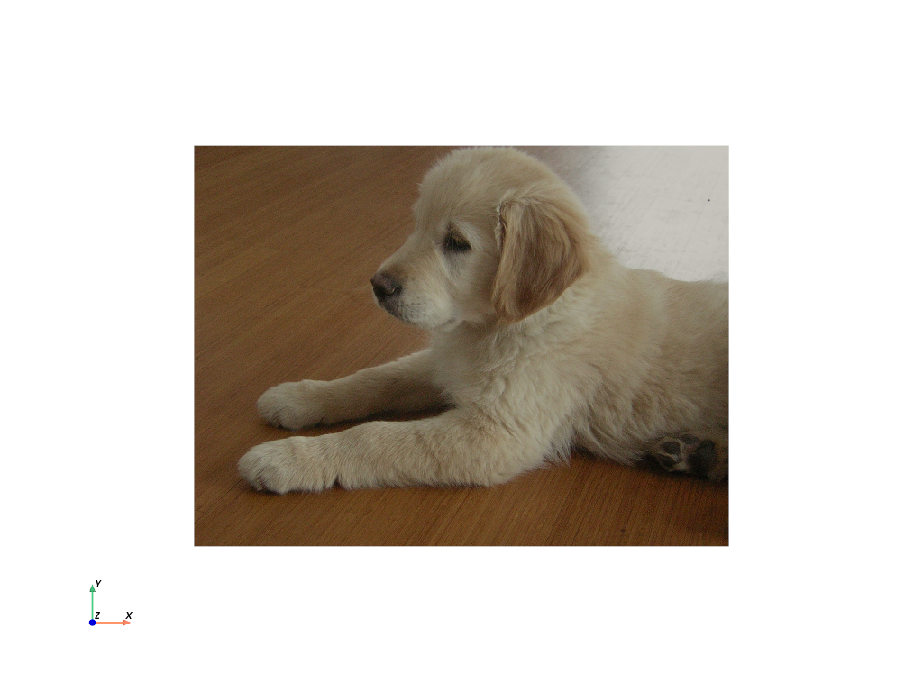 ../../_images/pyvista-examples-downloads-download_puppy-61cc7797a39c97f5_00_00.png