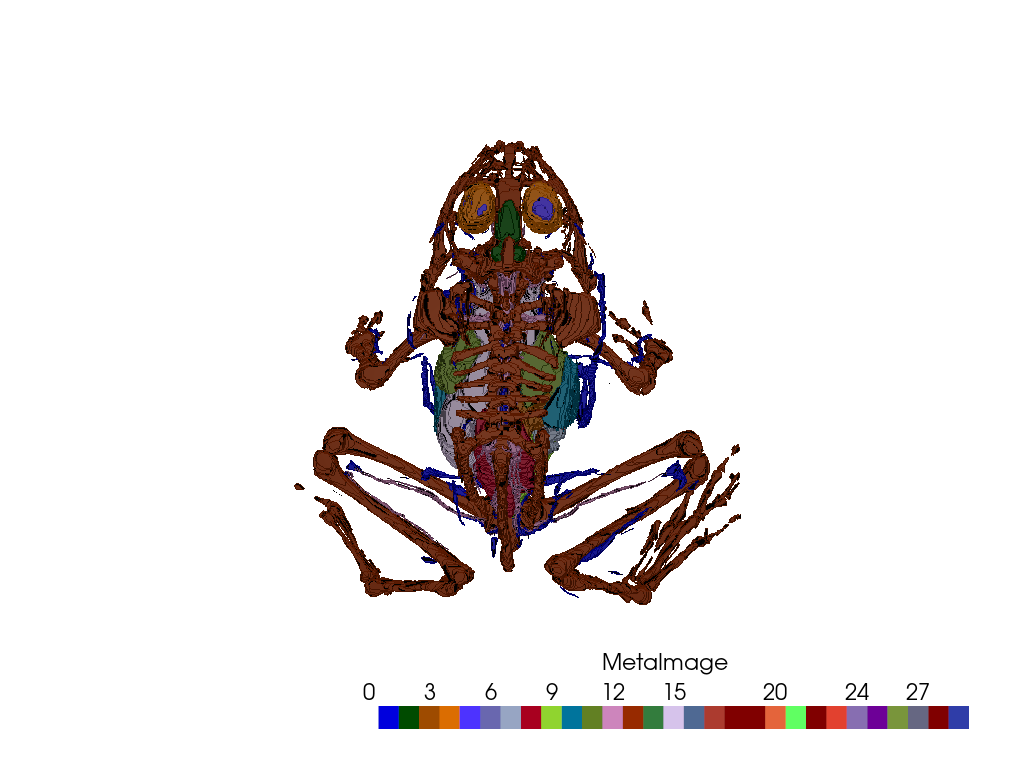 ../../_images/pyvista-examples-examples-load_frog_tissues-4745afecfdd268c9_00_00.png