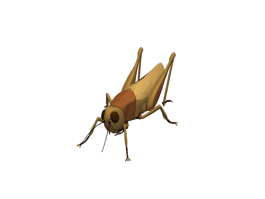 ../../../_images/pyvista-examples-vrml-download_grasshopper-49918621aee1708f_00_00.png