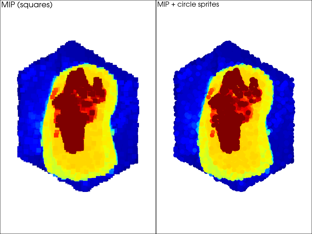 maximum intensity projection