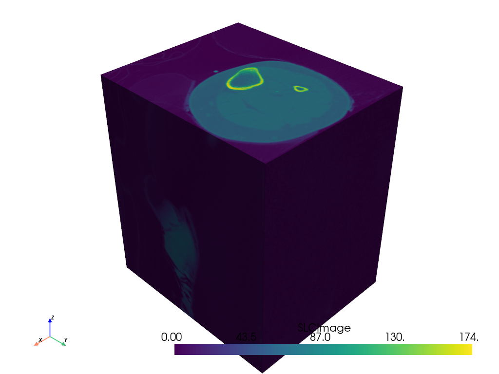 ../../../_images/pyvista-SLCReader-abb30fffc7143c5d_00_00.png